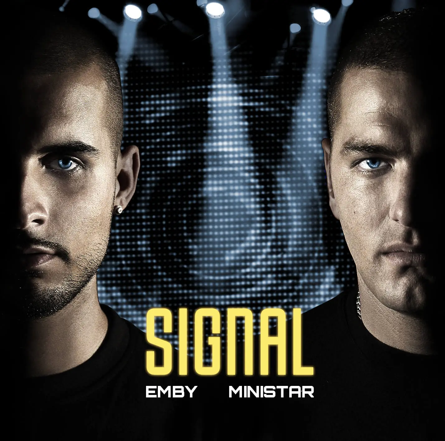 Signal