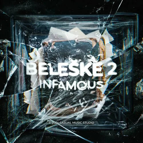 Infamous - Beleške 2